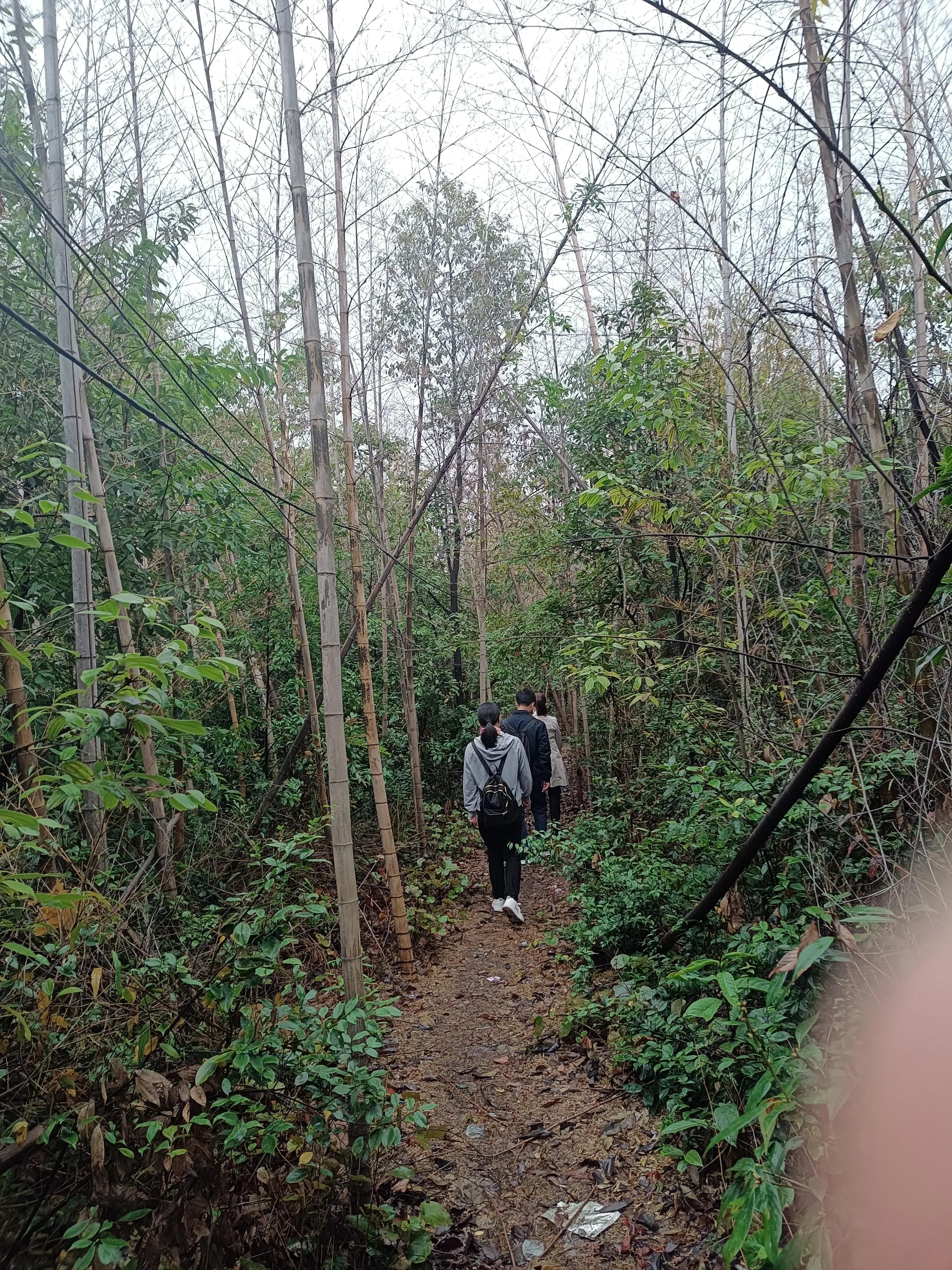 平凡的生活心里一定要有风景,平凡人的快乐人生