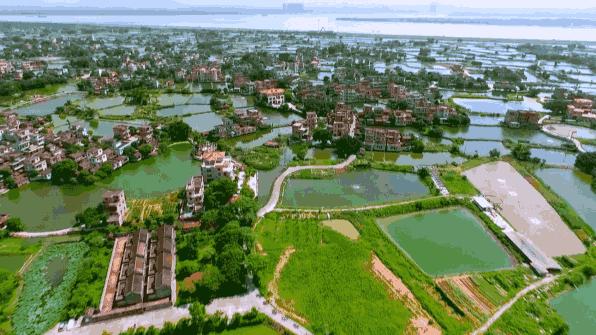 从广州佛山出发的旅游攻略,广州鹤山市旅游