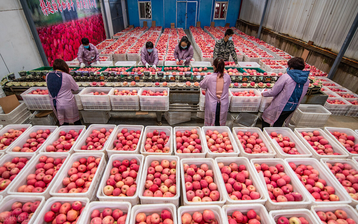 中俄农业合作新政策 (中俄农业合作最新消息)