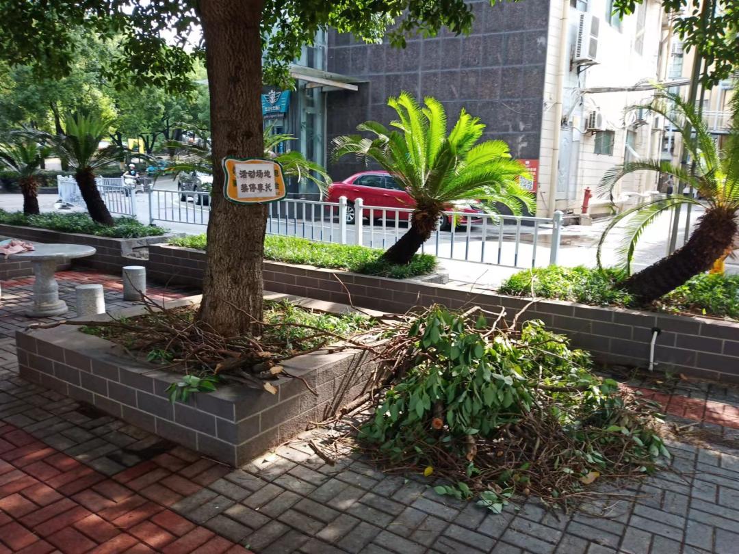 平均年龄76岁！宜昌“最老”业委会，打造最幸福小区