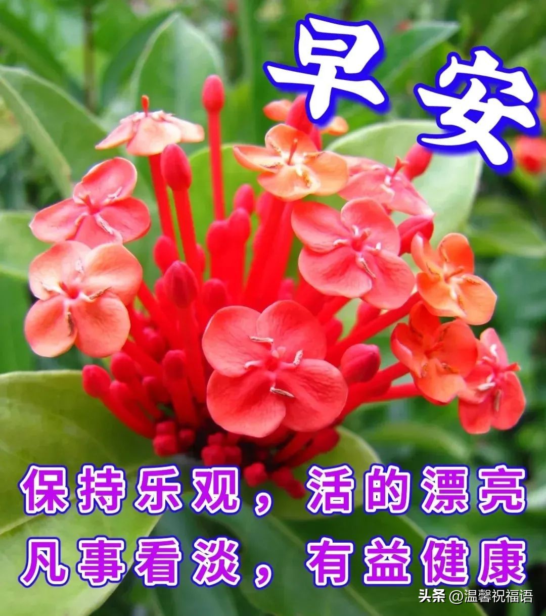 12月12日漂亮早上好问候动态图片最新版周一最美早安祝福图片大全