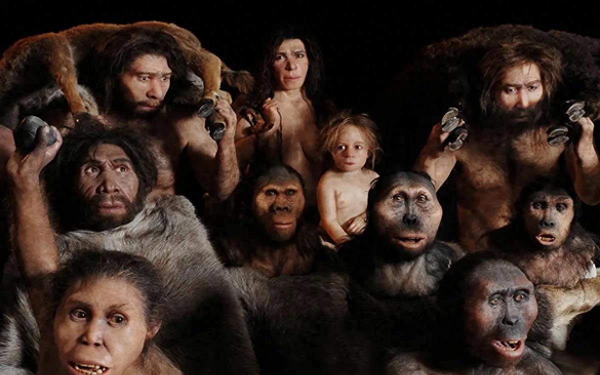 人类人种之间为什么没有生殖隔离,人类为什么还没有产生生殖隔离