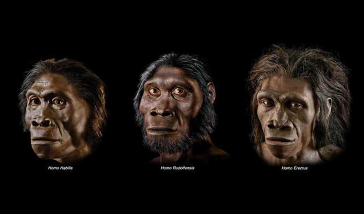 人类的稀有基因有哪些特点,人类隐藏了最稀少的基因