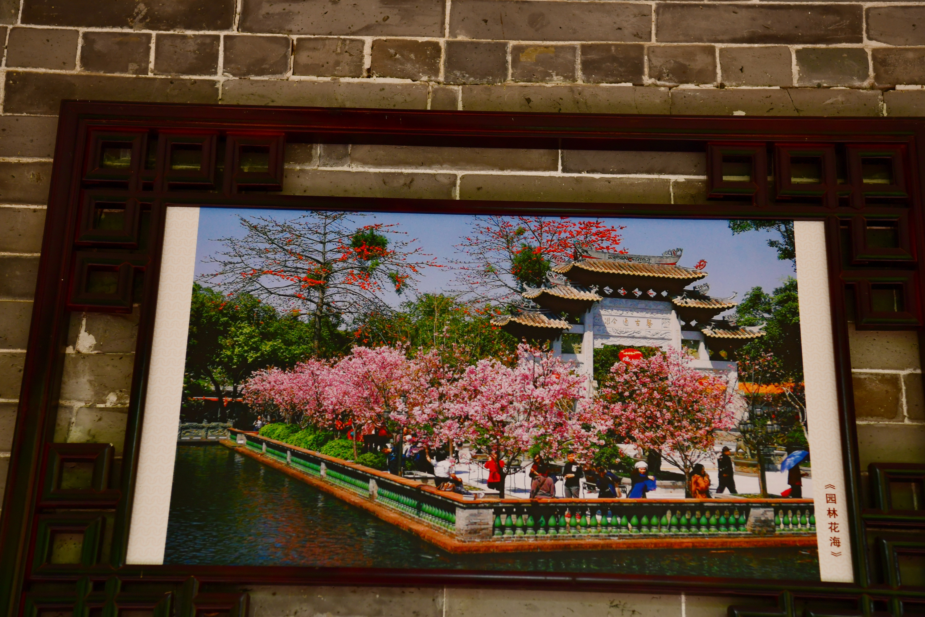 广州市番禺区宝墨园攻略,广州宝墨园景观