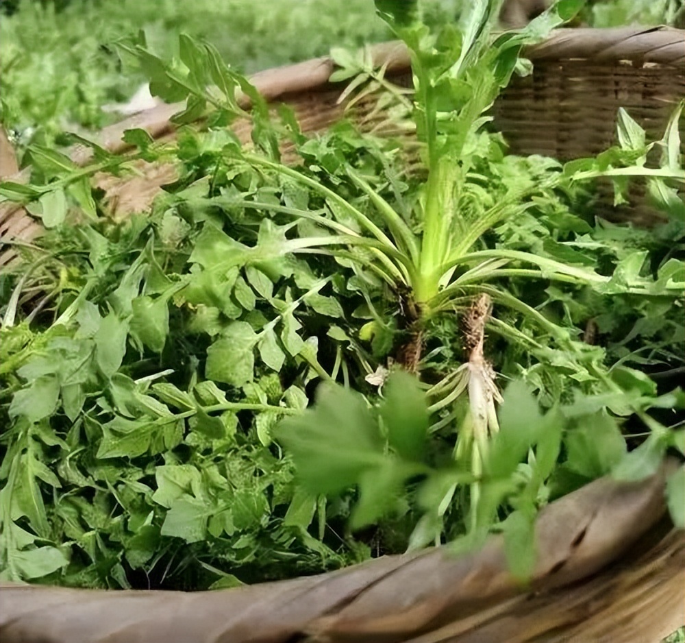 醉美偏坡美食团购,醉美偏坡海鲜烧烤