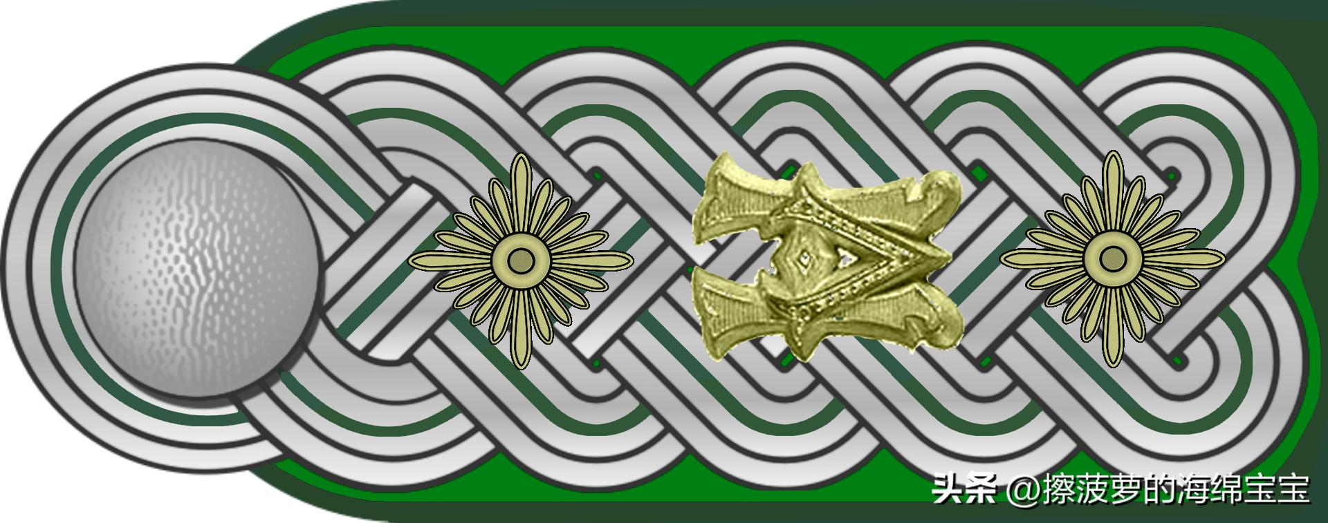 二战德国国防军医疗兵军衔标志