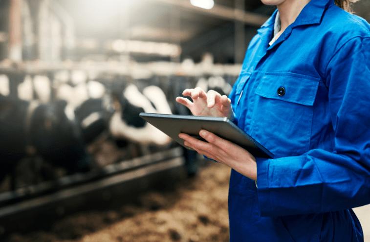 奶牛酸中毒怎么治疗最有效,奶牛瘤胃怎么改善