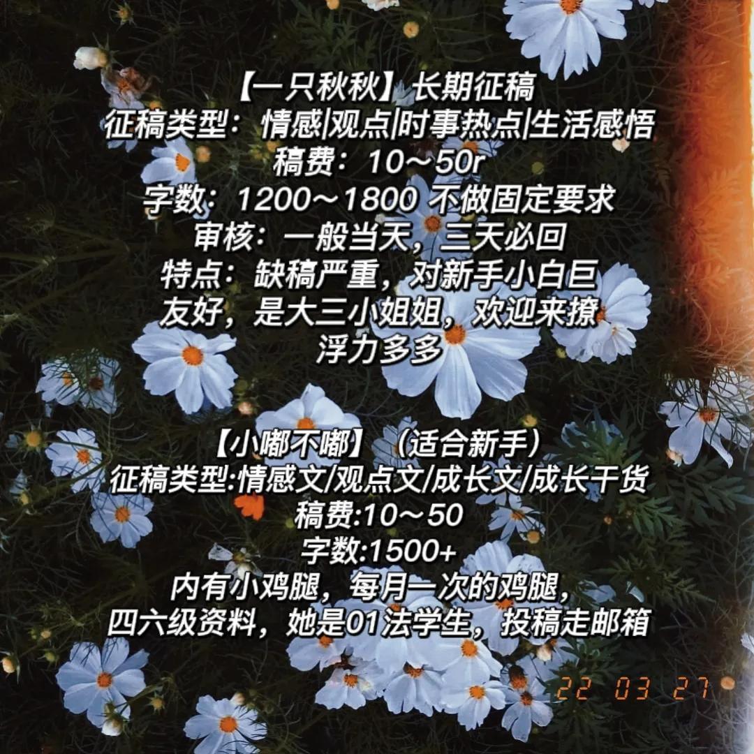 初芒投稿公众号,投稿征稿公众号