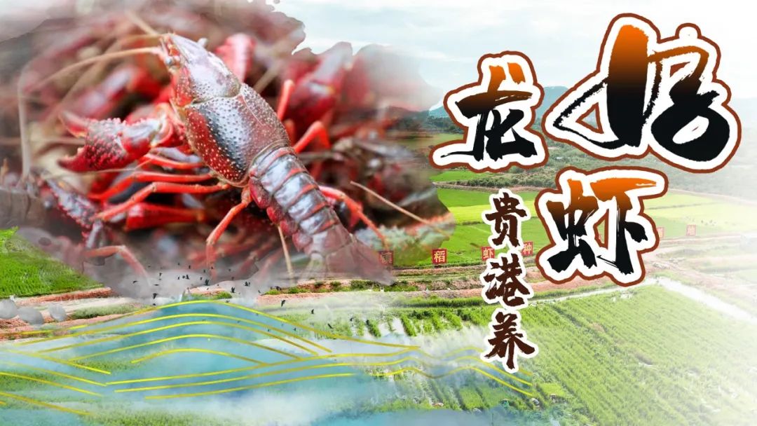 2024年广西青少年篮球锦标赛3人制,2021广西青少年篮球冠军赛三人赛