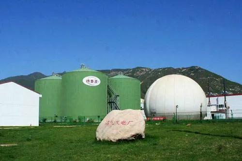 沼气发电一年能赚多少钱,沼气经济效益