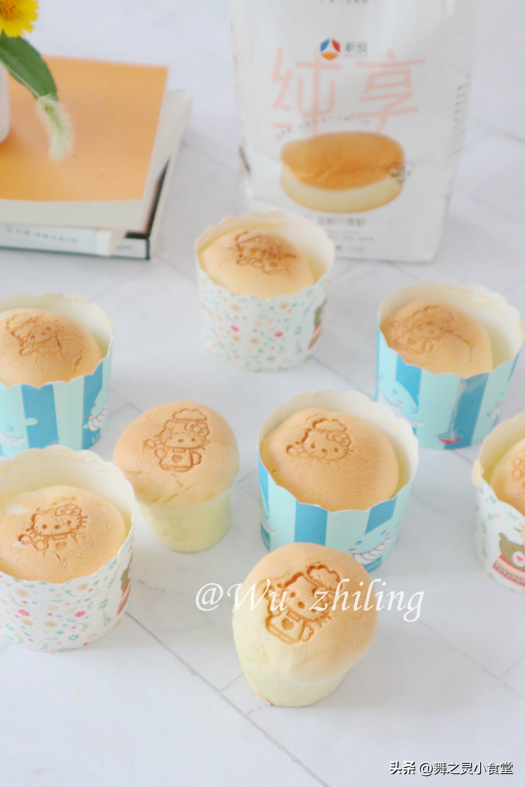 只用普通面粉鸡蛋糖做出来的蛋糕,只有面粉鸡蛋白糖酵母能做蛋糕吗