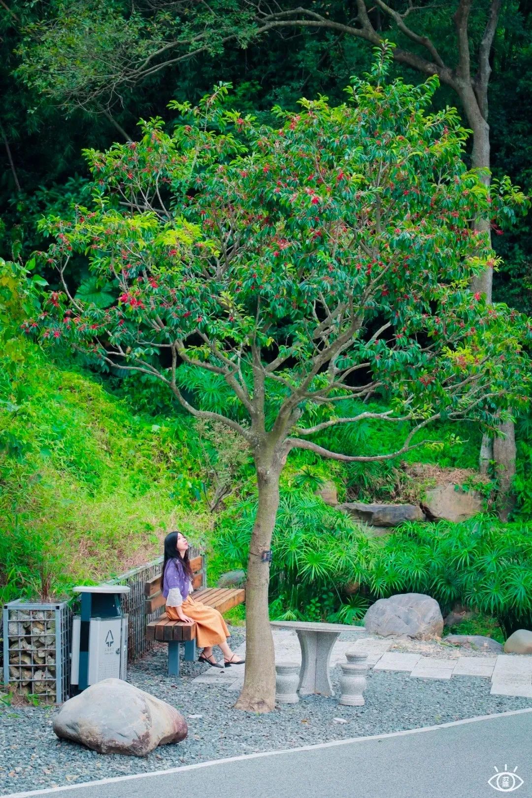 深圳周末带孩子免费游玩好去处,周末去哪玩推荐深圳