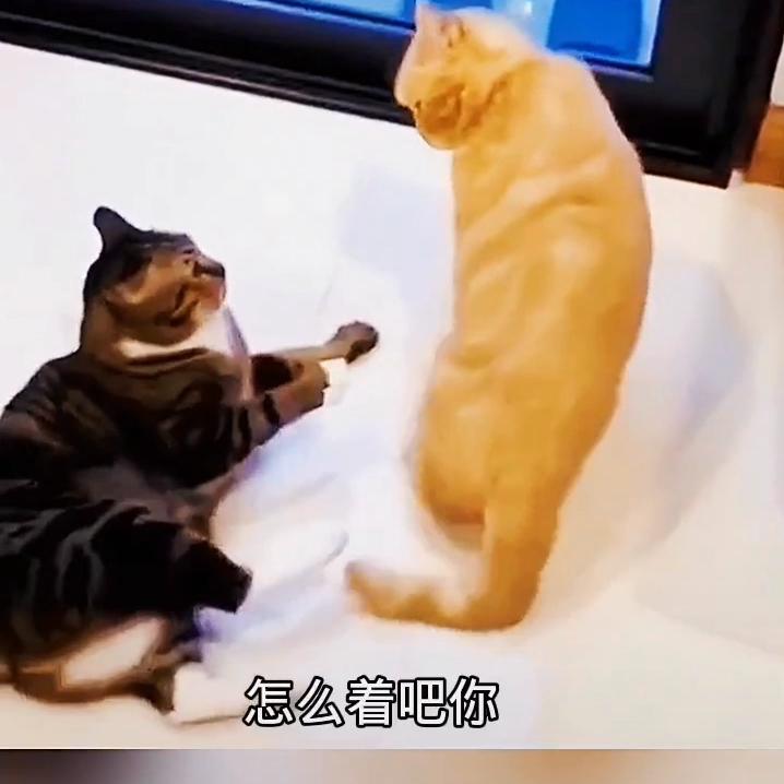 DOU+小助手视频,dou+小助手流量包