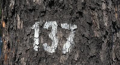 曼谷去芭提雅大巴车中途停车吗,曼谷到芭提雅出行推荐