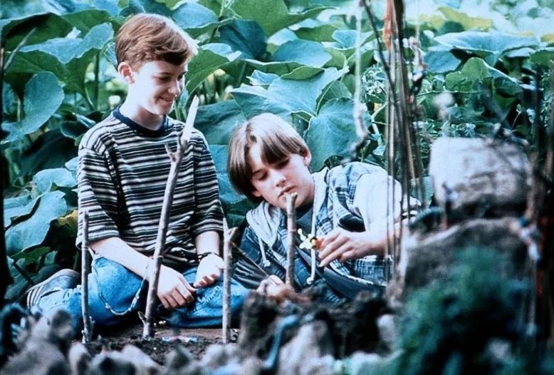 鳄鱼波鞋走天涯完整版在哪可以看,鳄鱼波鞋走天涯影片整体拍摄风格