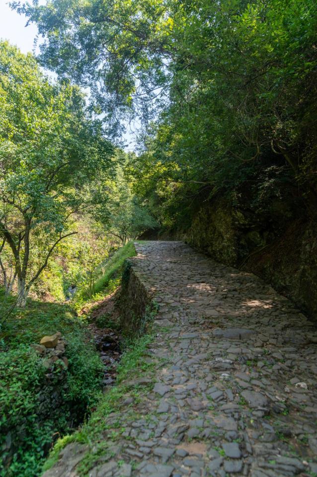 暑期特辑,长安三万里电影暑期