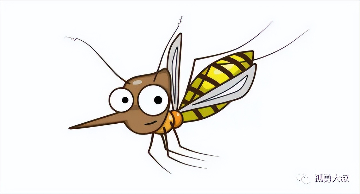 12层高的楼能进蚊子吗,住在13楼怎么还有蚊子