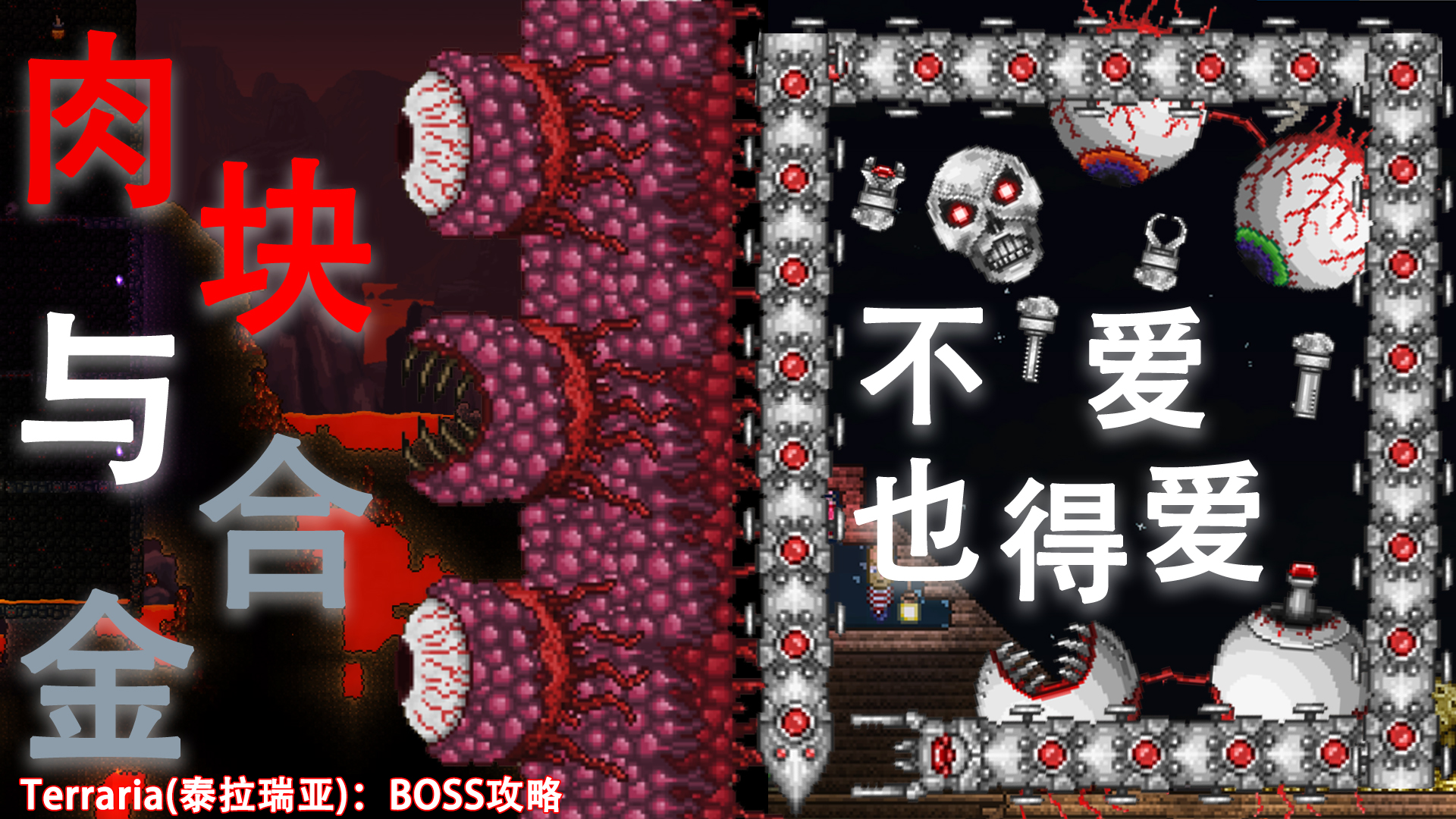 泰拉瑞亚肉山前召唤师前期怎么玩,泰拉瑞亚肉山之后战士装备推荐