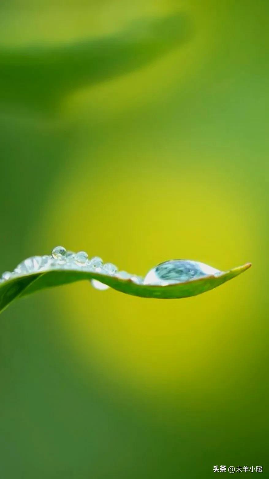 最美的手机壁纸大全,养眼养心的壁纸