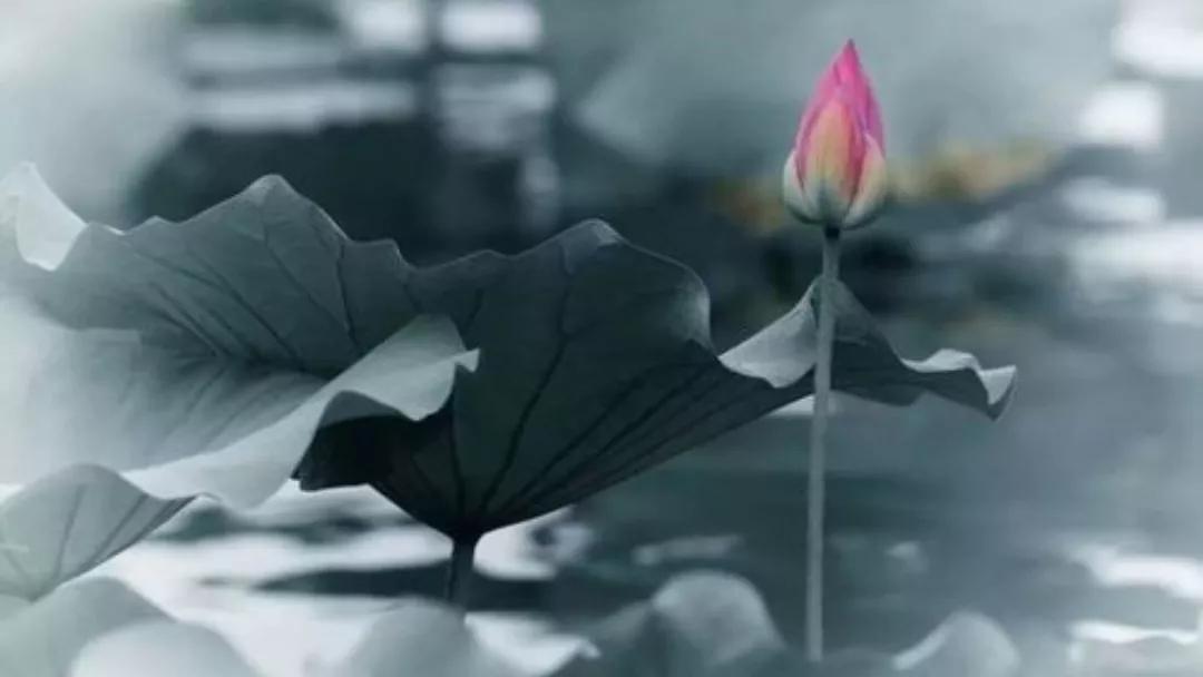 中国历史风流人物介绍,中国历史风流才子