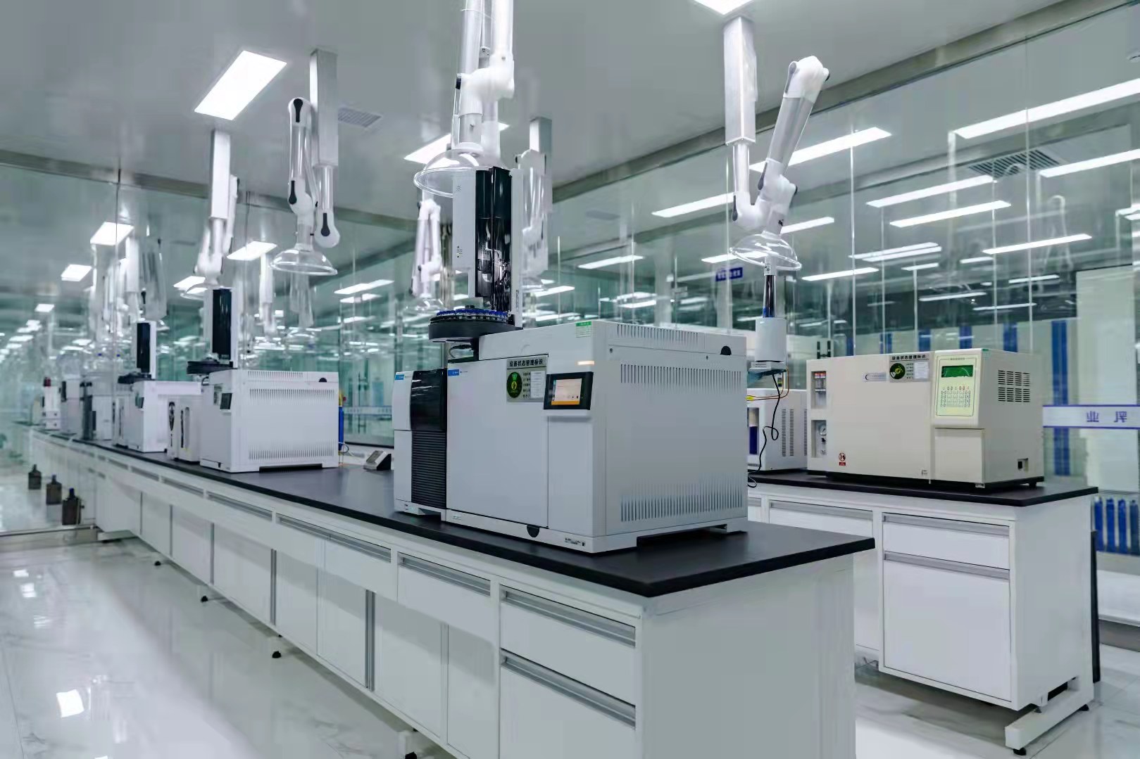 张鸽,张鸽羊奶霜怎么样