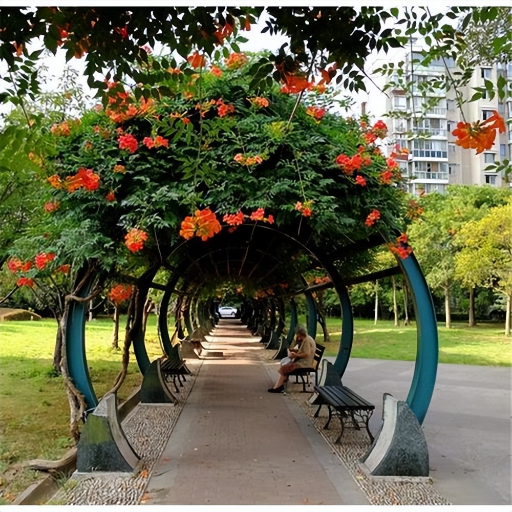 简述中国园林的特点,园林景观大揭秘