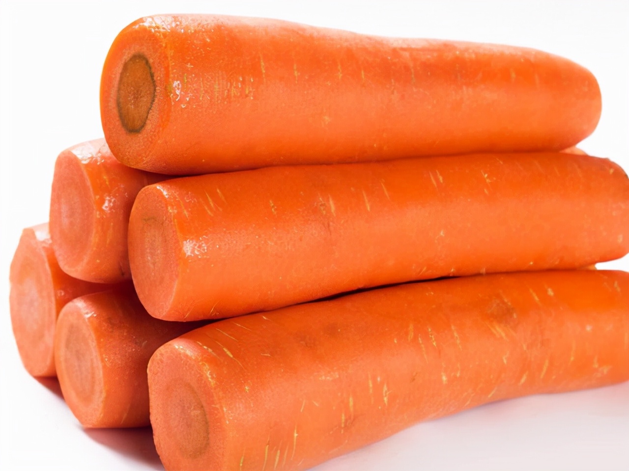 萨摩耶吃的食物,萨摩耶狗吃哪些蔬菜