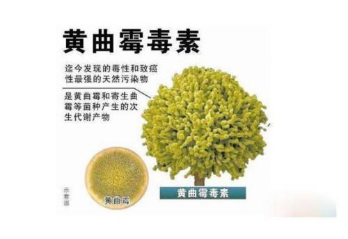 使用绞肉机会损伤肝脏系谣言,医生提醒停止使用绞肉机