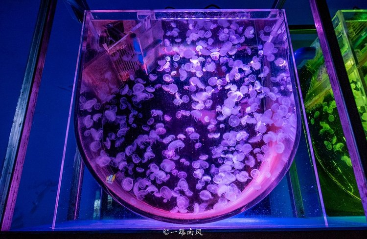 福州永泰，一个低调但很迷人的地方，好玩有故事值得一游