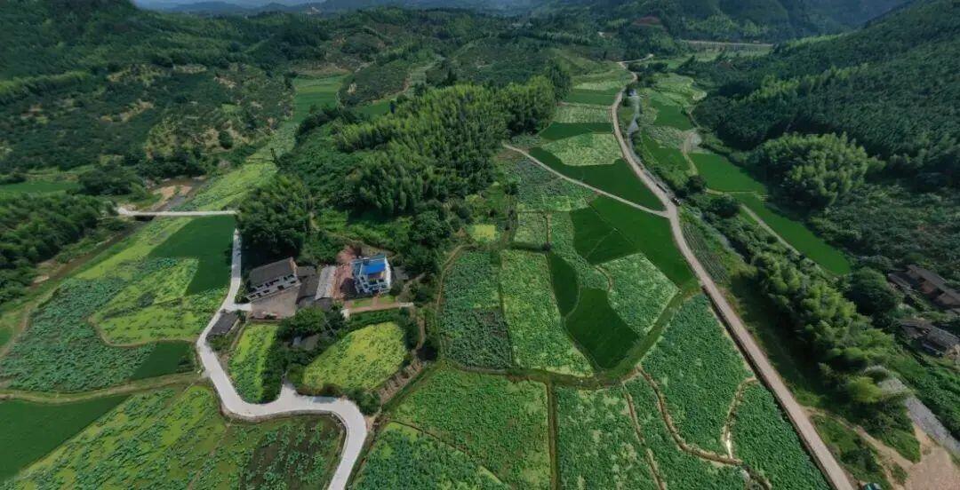 梦启之舟|品牌案例分享之清新花乡