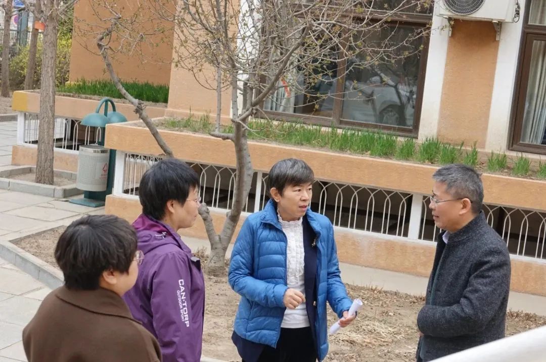 国际数学日，京城这些学校的活动忒好玩了！