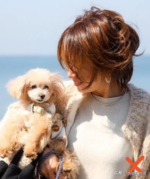 适合圆脸的羊毛卷女生短发,适合胖女生的羊毛卷短发