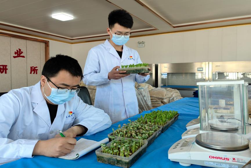 黑龙江北安：备耕一线*党**旗红*党**建引领助春耕