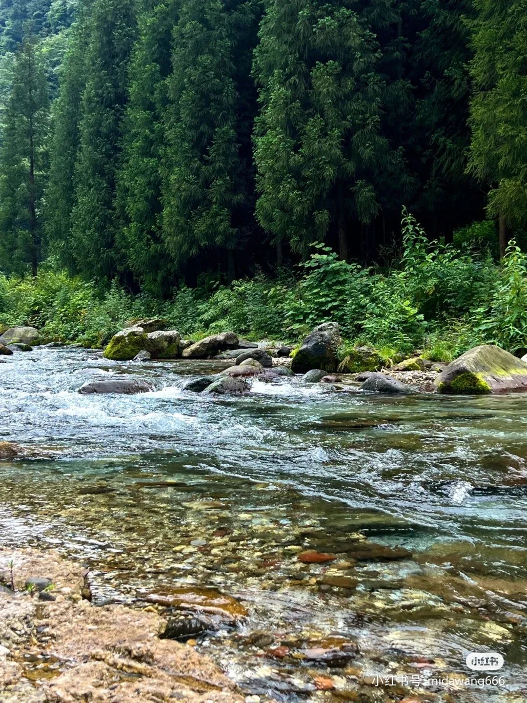 成都周边2天一夜避暑,成都周边避暑一日游最佳地方推荐