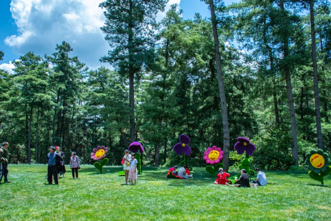 昆明旅游攻略一日游景点推荐理由,昆明玩耍推荐景点一日游攻略图