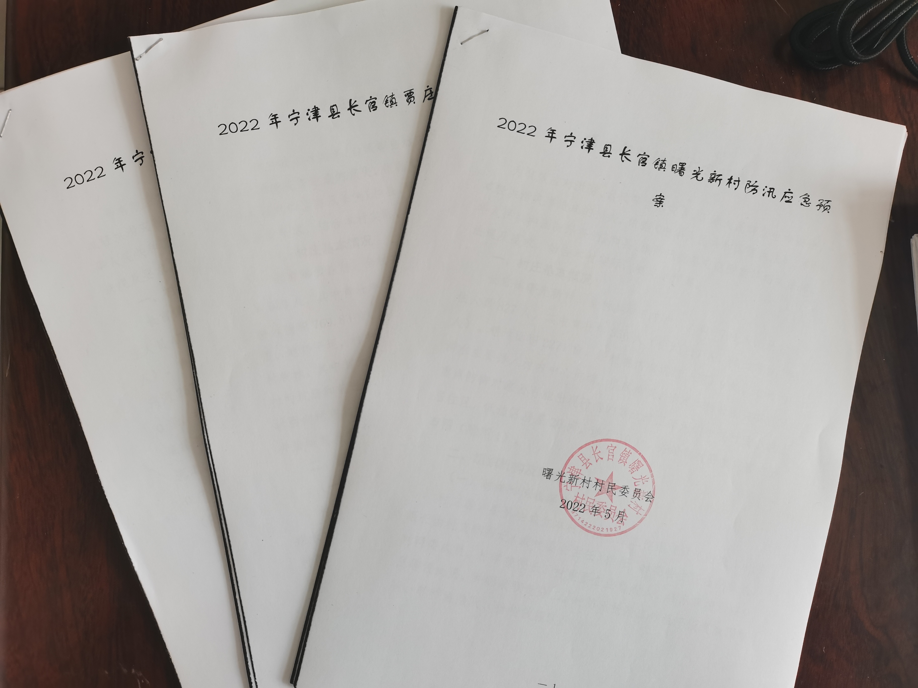 德城镇防汛情况,德州开展防汛防台风工作