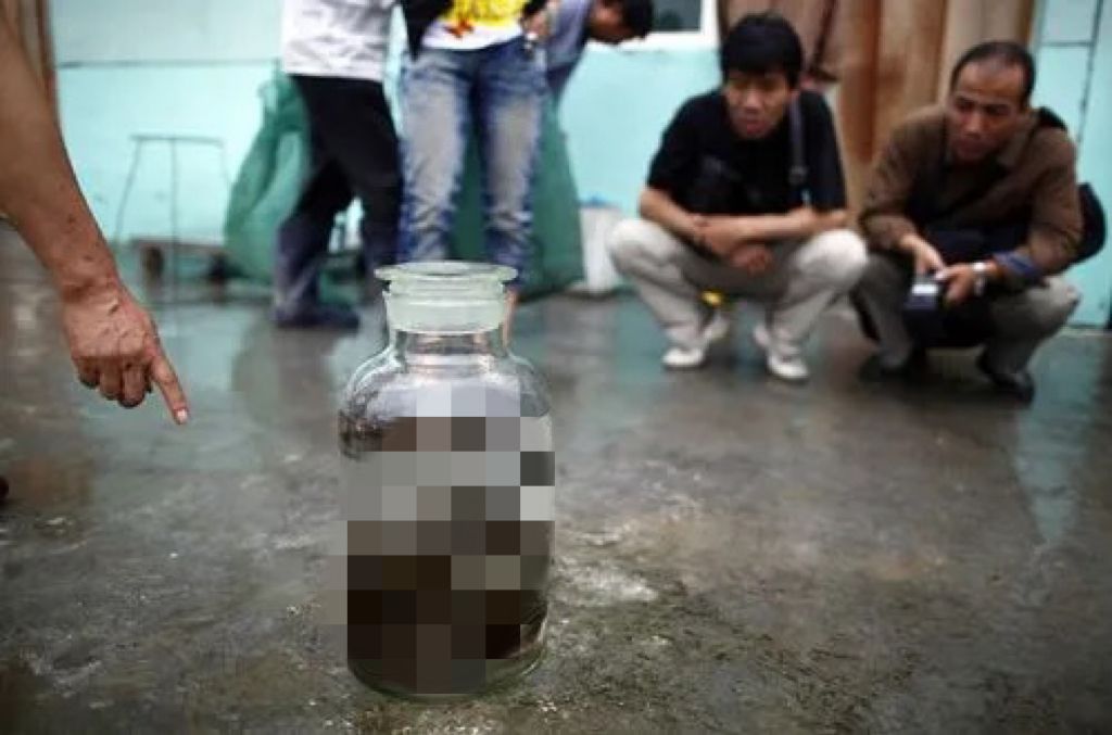 私自养野生蛇,农户私放1000条眼镜蛇