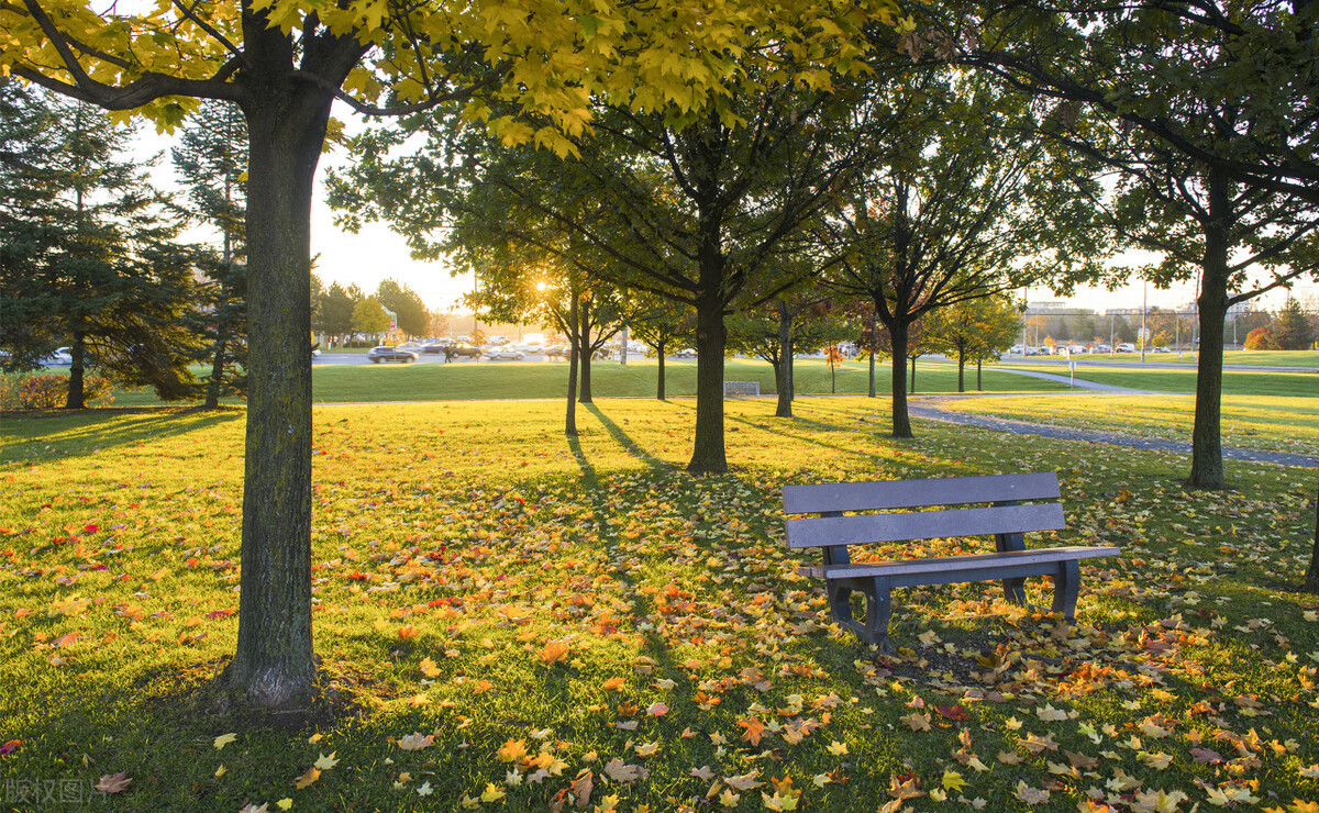 别再只会说“你好，四月”了，英文版谚语帮你提升朋友圈逼格
