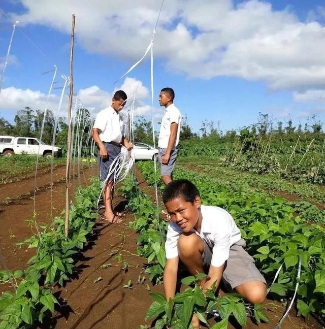 汤加是属于哪个洲,汤加王国是贫穷国家吗