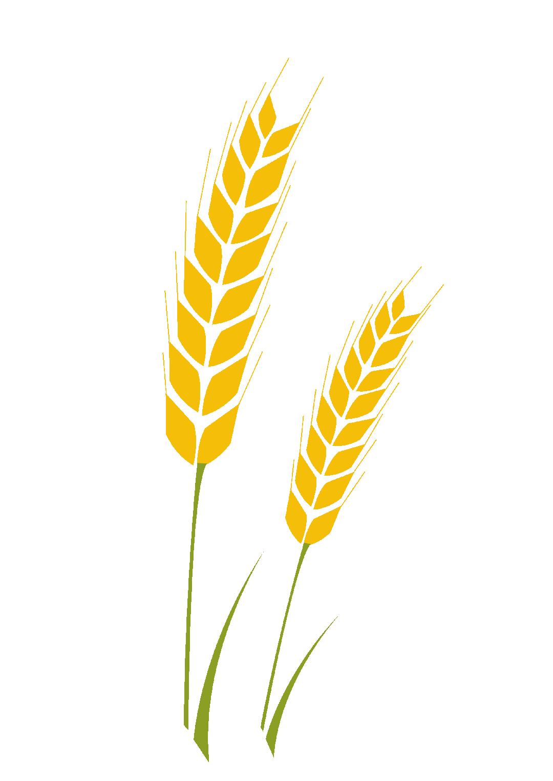 2024泰晤士英国大学排名榜,2024年英国大学排名前100