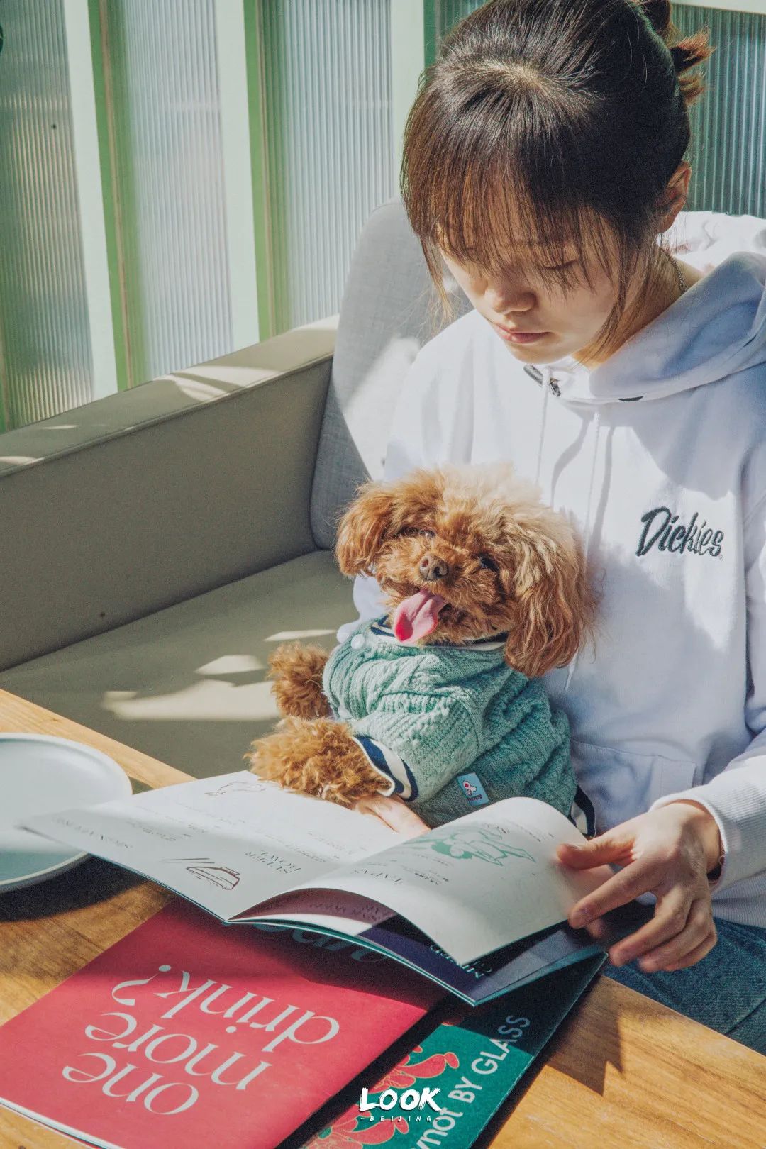 北京哪里有宠物店铺,宠物友好商城北京