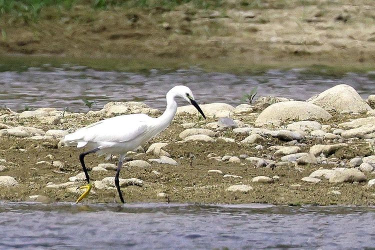 京杭运河北京段漕运码头,通州大运河漕运码头