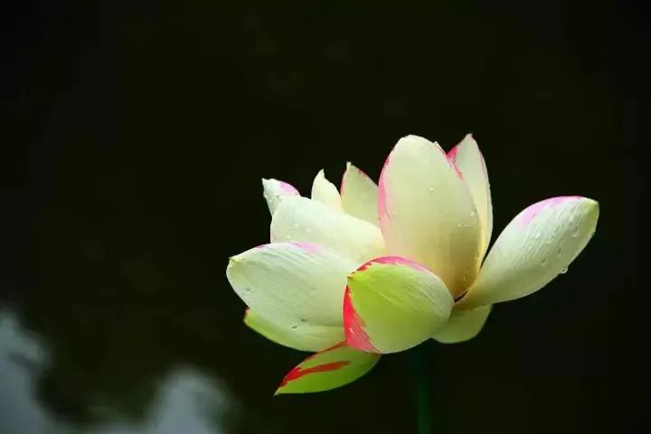 十二种梦预示贵人来临,人做的梦到底意味着什么