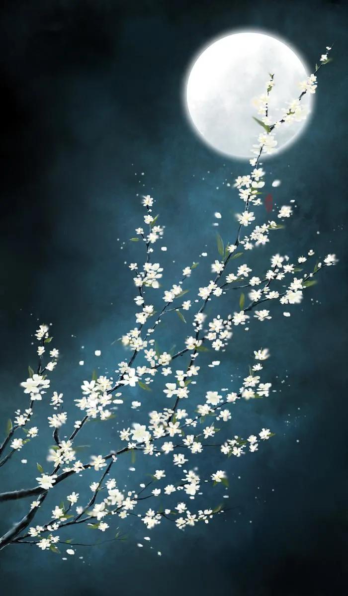 水边桃花月亮唯美图片,月亮竹影唯美图片