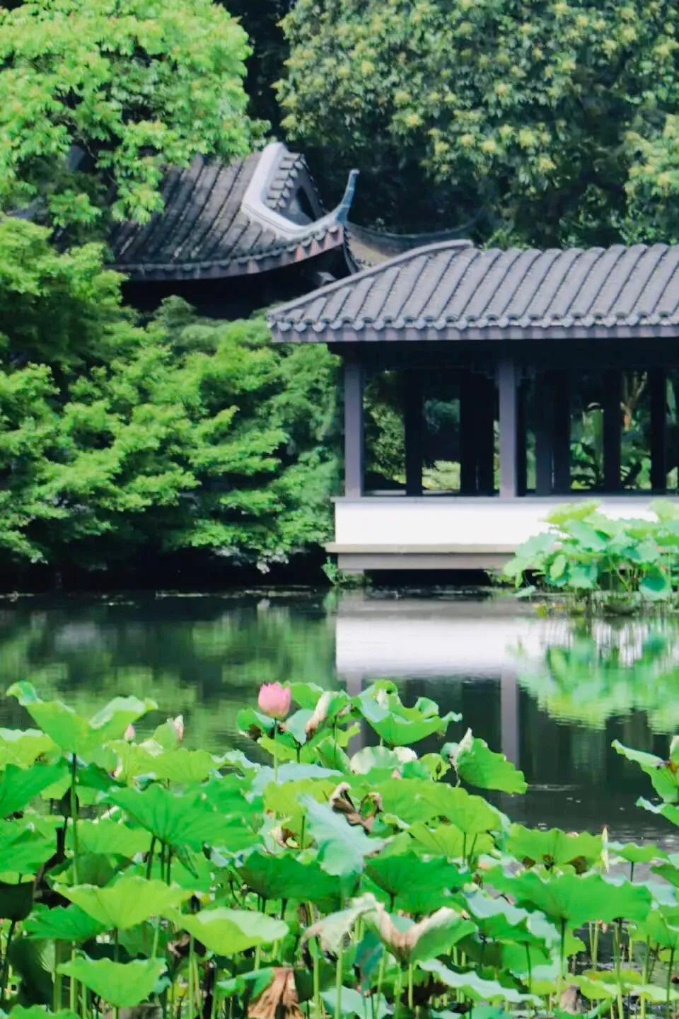 閮簞鍒樺簞,钂嬪簞鍒樺簞