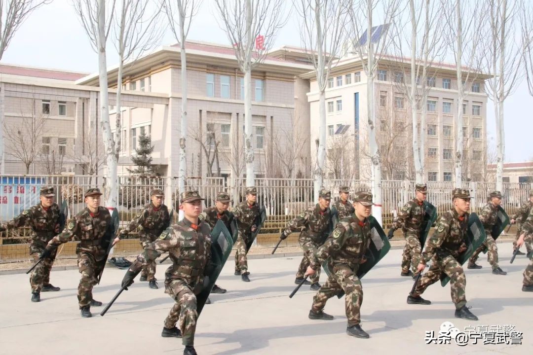 最暖心的泡面,暖心夜宵美味泡面