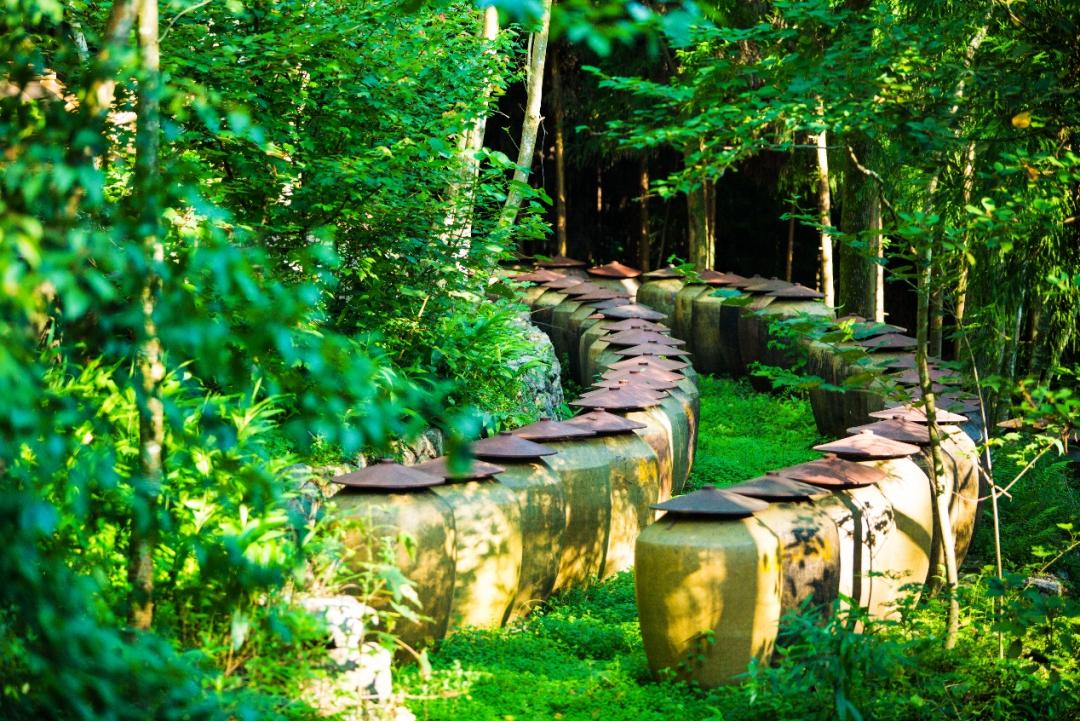 邛崃酒的历史文化,邛崃中国酒源