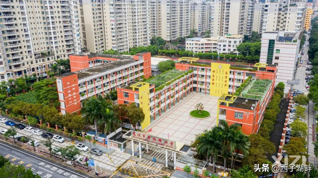 惠州市哪个农贸市场人流量最大,惠州城中村最旺的市场