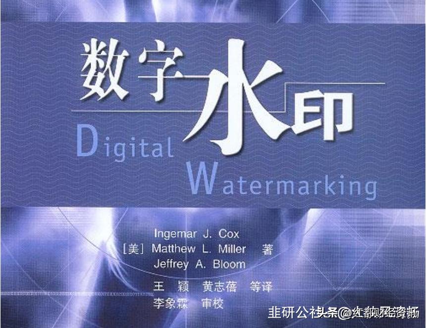 数字水印分类图解,一文看懂数字水印