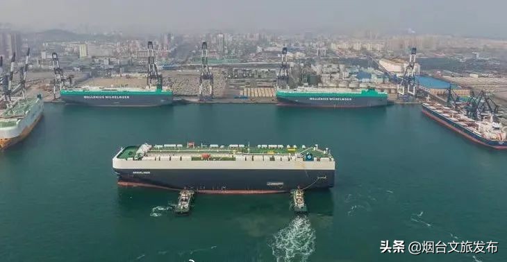 一到夏天，烟台就成了人们心心念念的消暑天堂！